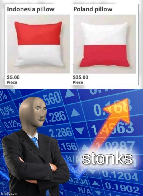 Vendiendo almohadas de países - meme