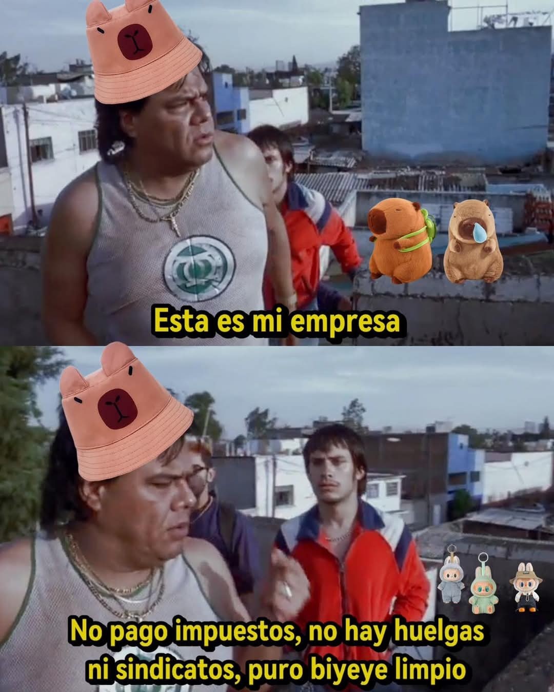 Capibara 2025 1 - meme
