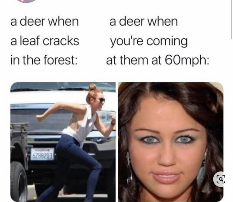 Deer's be like  - meme