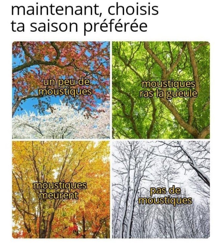 bon ok retour des memes politiques demain