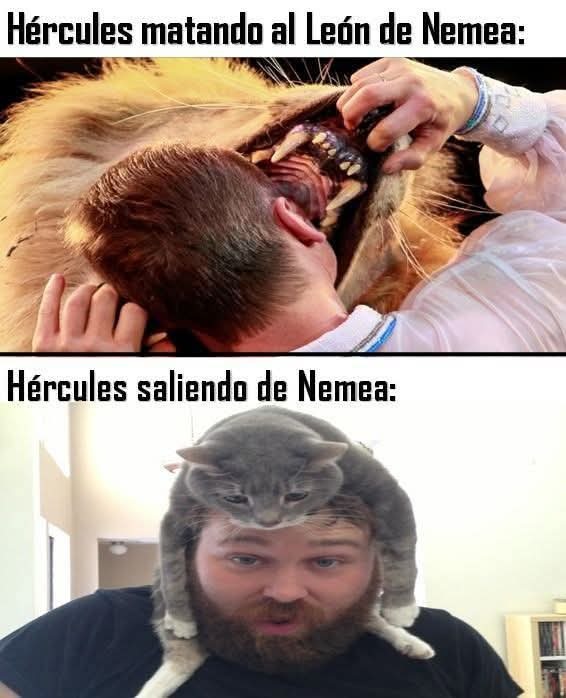 Sis - meme