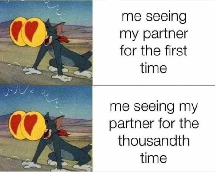 Seeing my partner for the first time vs the 1000th time - meme