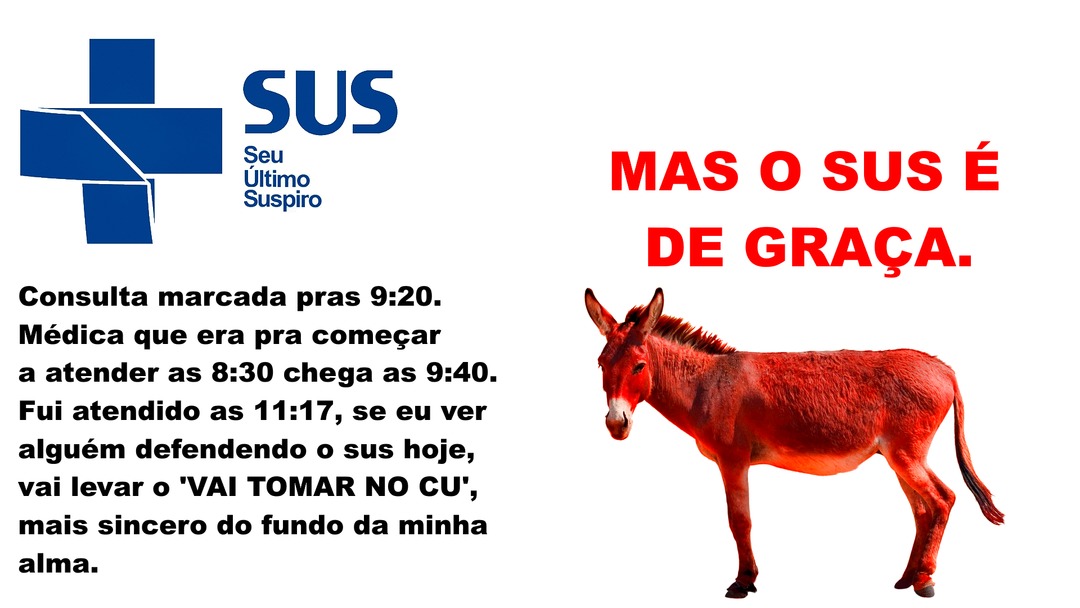 Sefudde sus - meme