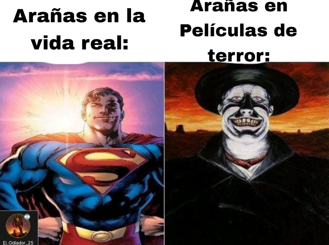 El miedo y odio a las arañas está un poco injustificado gracias a las películas surreales de terror, ya que nos protegen de peores insectos como garrapatas, mosquitos y moscas. - meme