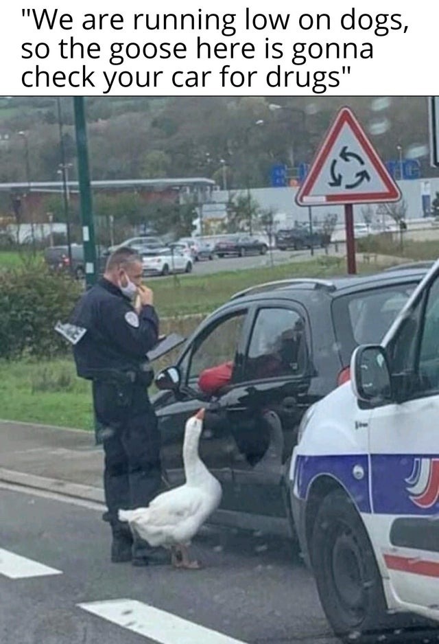 Police Goose - meme