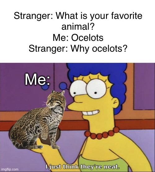 Ocelots - meme