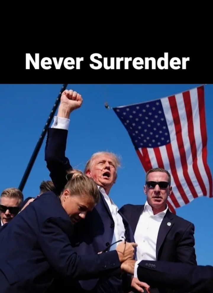 The fist, the flag, the gunshot wound, what an image truly iconic - meme