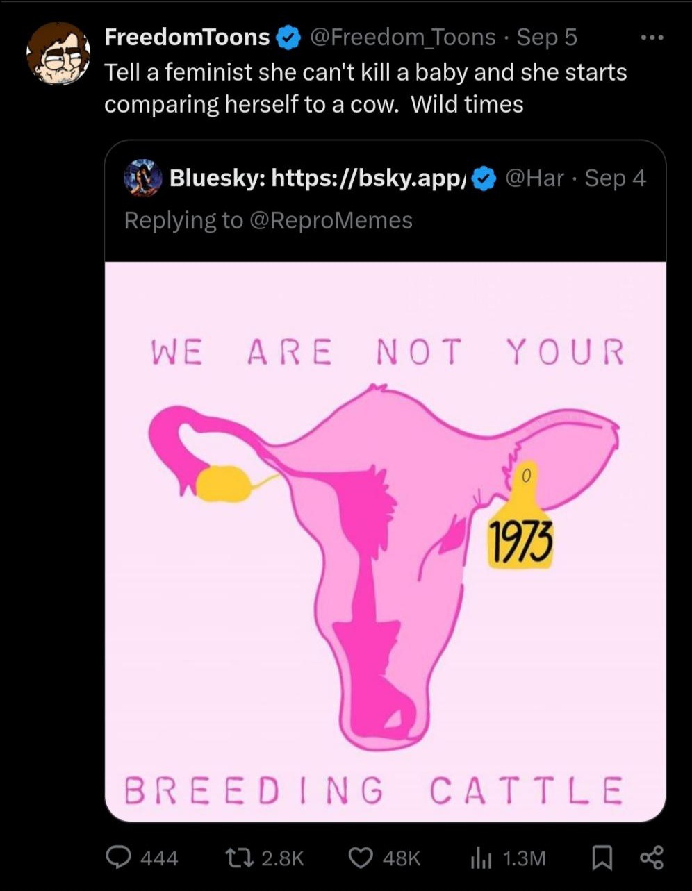 Just don't make babies you don't want - meme