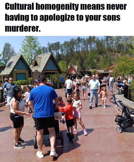 Cultural Homogenity - meme