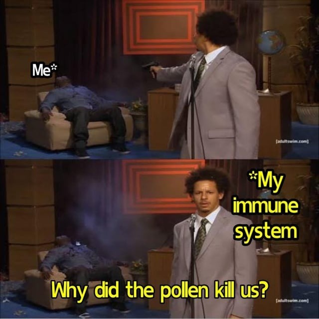 Immune system overreacts to harmless pollen - meme