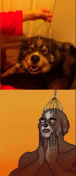 tres drole - meme