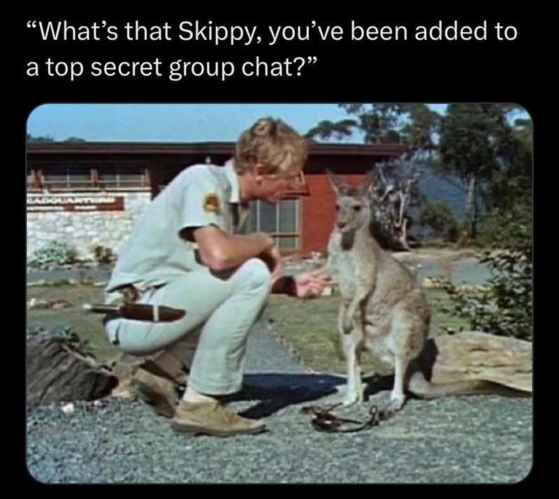 Signalgate - meme