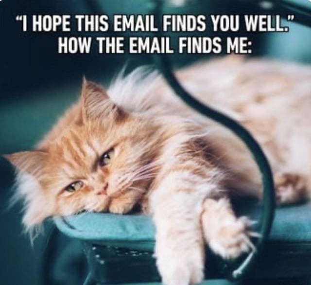 Hope this email finds you well: it didn’t. - meme