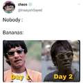 Bananas in a dong