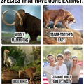 Extinct species