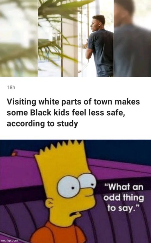 Visiting white parts of town - meme