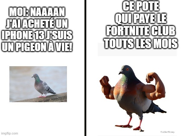 pigeon! - meme