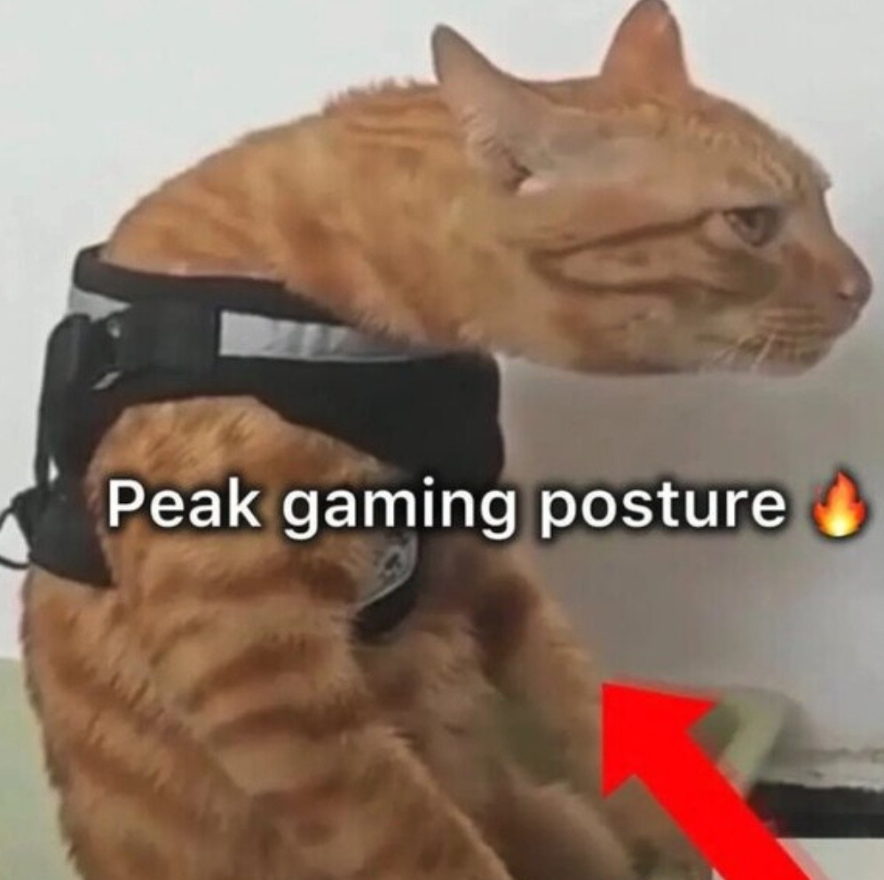 Postura gaming nivel jefe final sin columna - meme