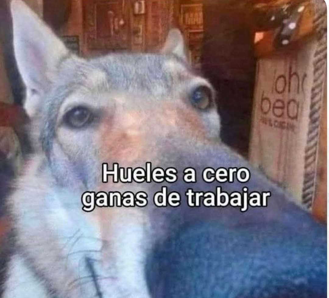 Hueles a cero ganas de trabajar - meme