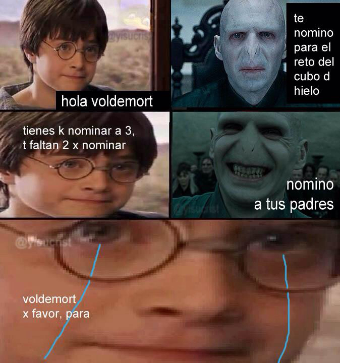 Ice bucket challenge Harry Potter - meme