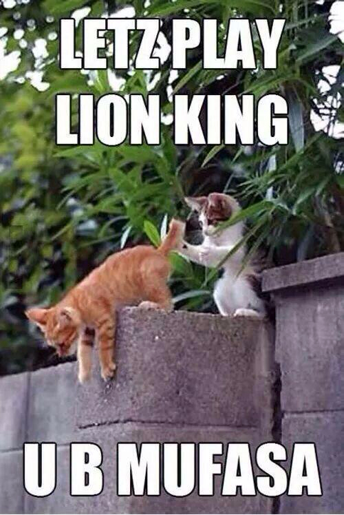 Lion King or Naw? - meme