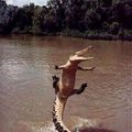 crocodile bungee