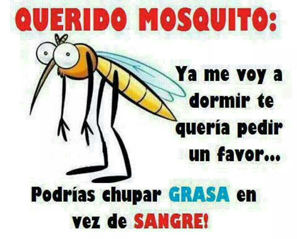 mosquito - meme