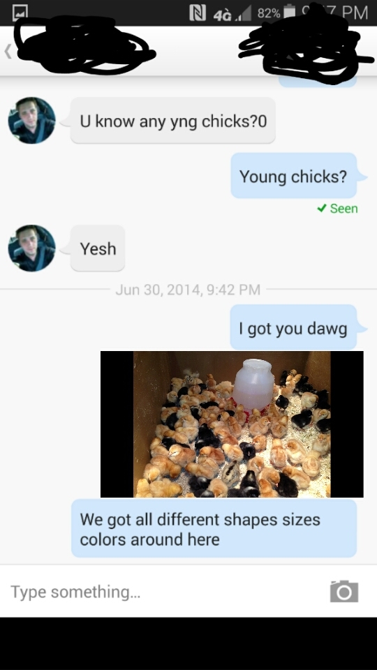 chicks - meme