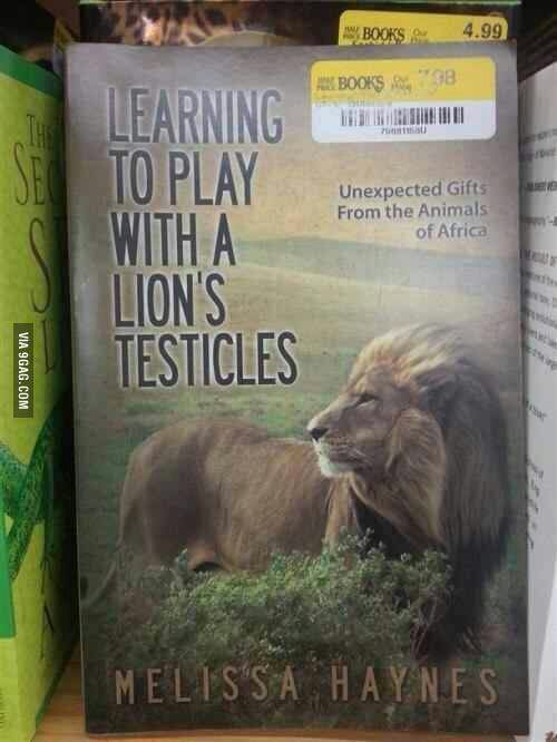 lions testicles - meme