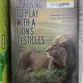 lions testicles