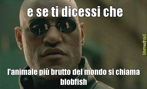 e se ti dicessi che - meme