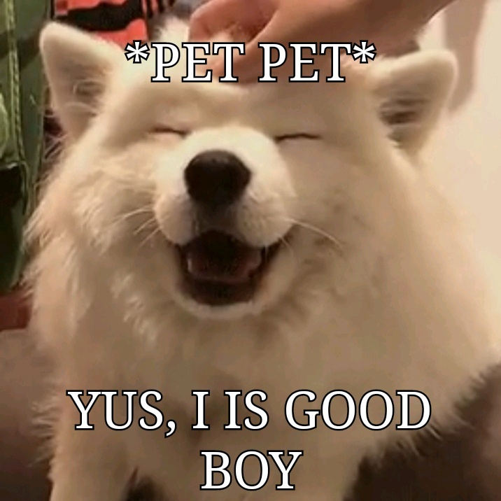 Good boy - meme