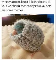 IF YOU HAVE NO FRIENDS I WILL BE THE WONDERFUL FRIEND WHO TELLS YOU ITS OKAY - meme