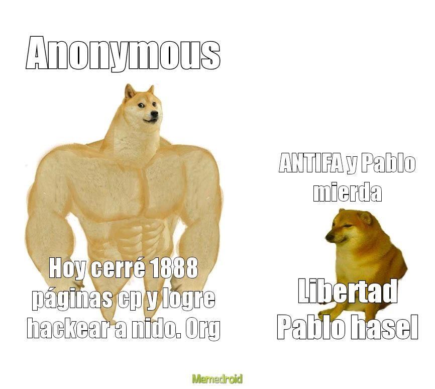Anonymous mejor que antifa - meme