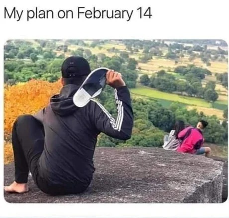 Plan on February 14 - meme
