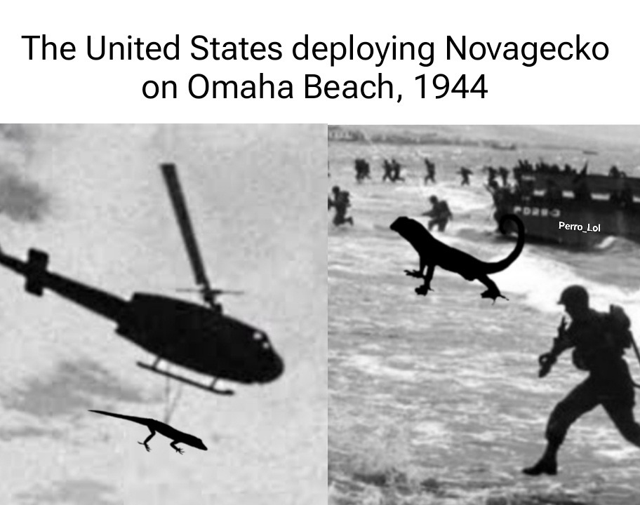 The United States deploying Novagecko on Omaha Beach, 1944 - meme