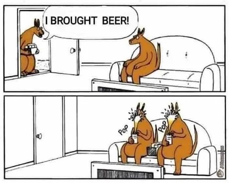 Lil fun comic - meme