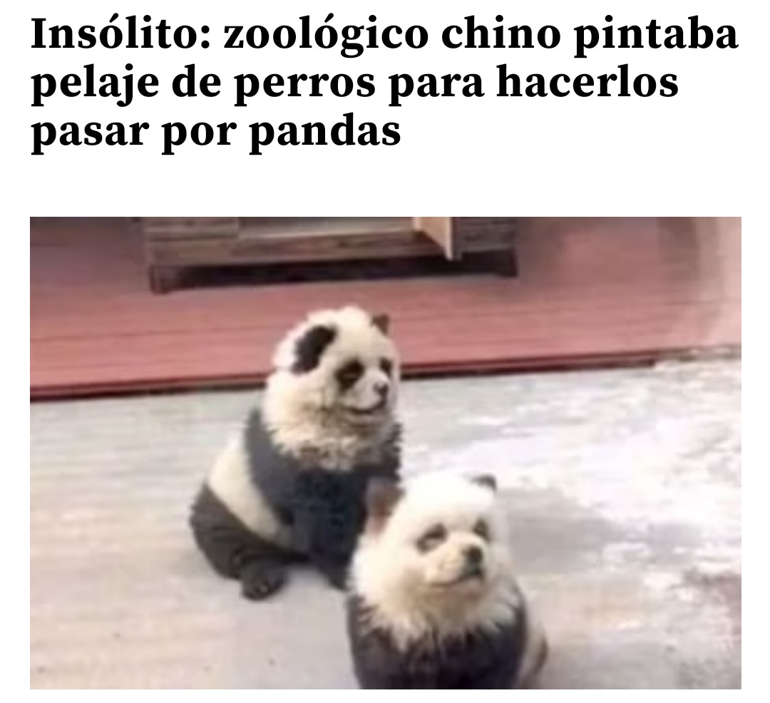 Creo que algunas ya vieron la noticia - meme