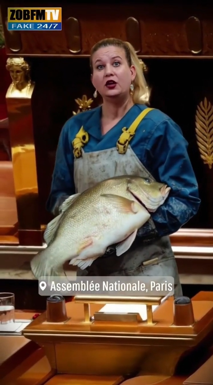 Il est bon! Il est frais mon poisson ! - meme
