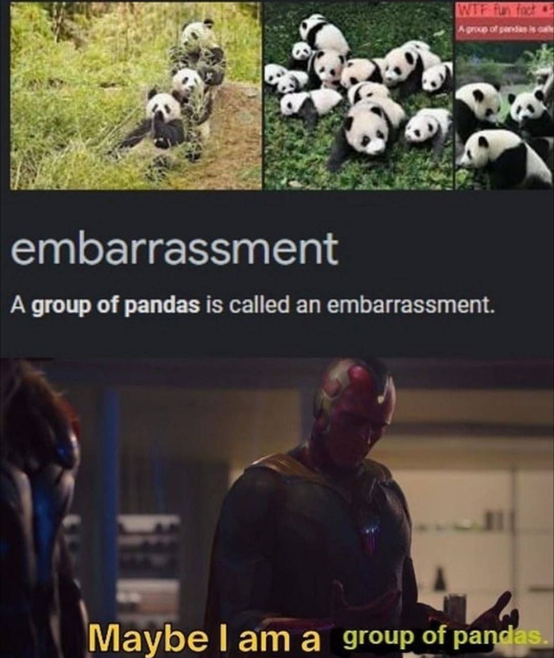 Turns out I identify as a group of pandas - meme