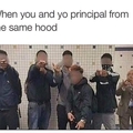 Hood principal