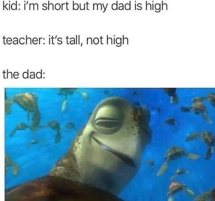 high turtle - meme
