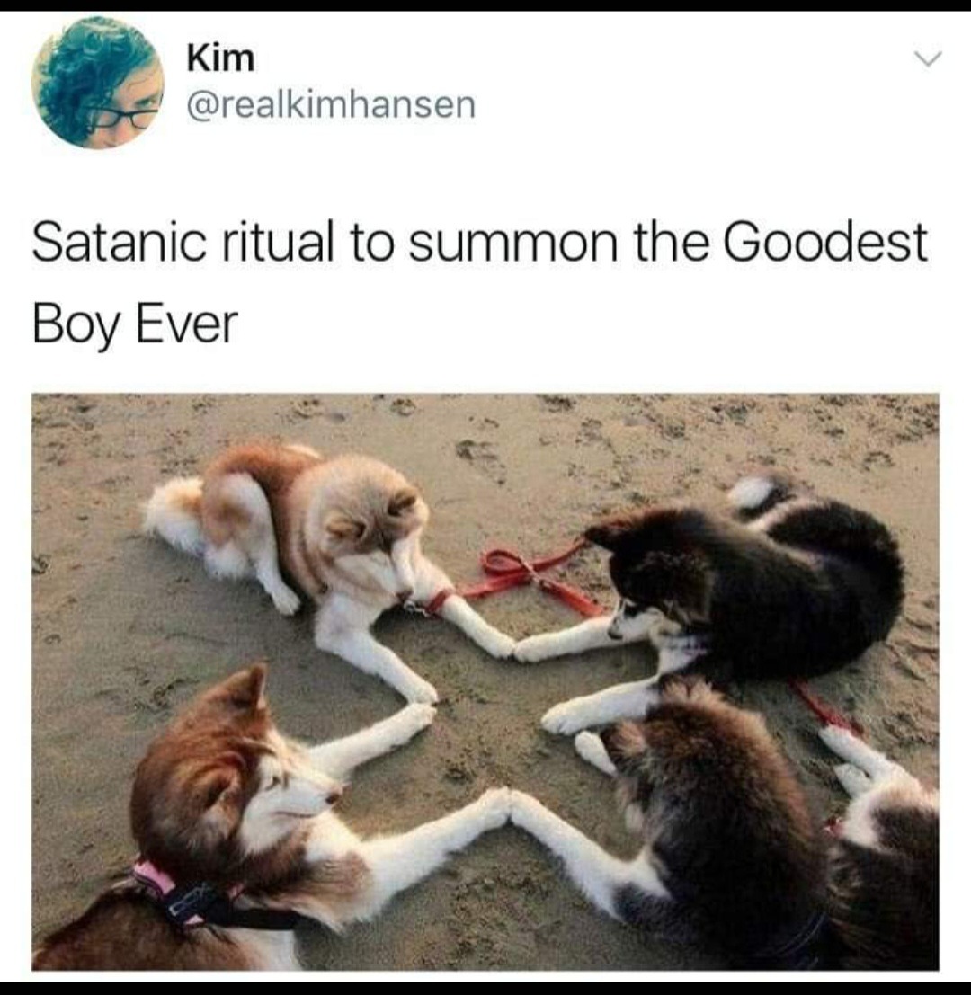 We summon thee Lord of the goodest boi - meme