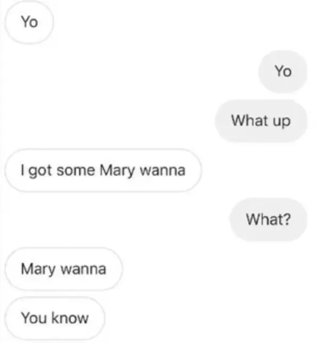 Mary wanna what?! This spelling mistake offers mary wanna instead of marijuana. - meme