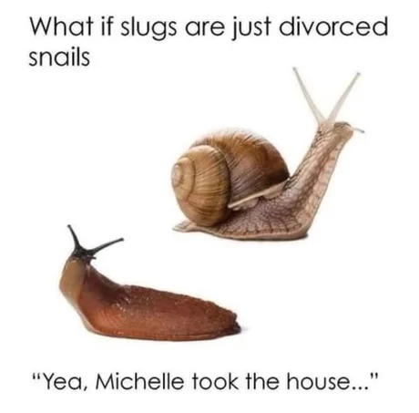 Snails and slugs lore - meme