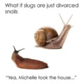 Snails and slugs lore