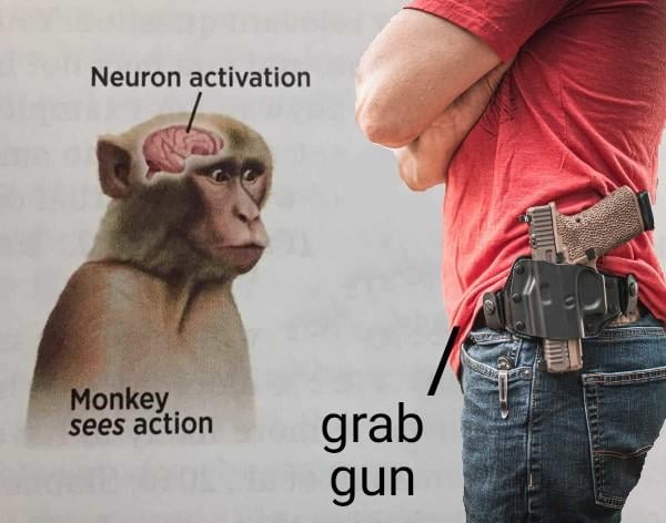 Neuron activation - meme