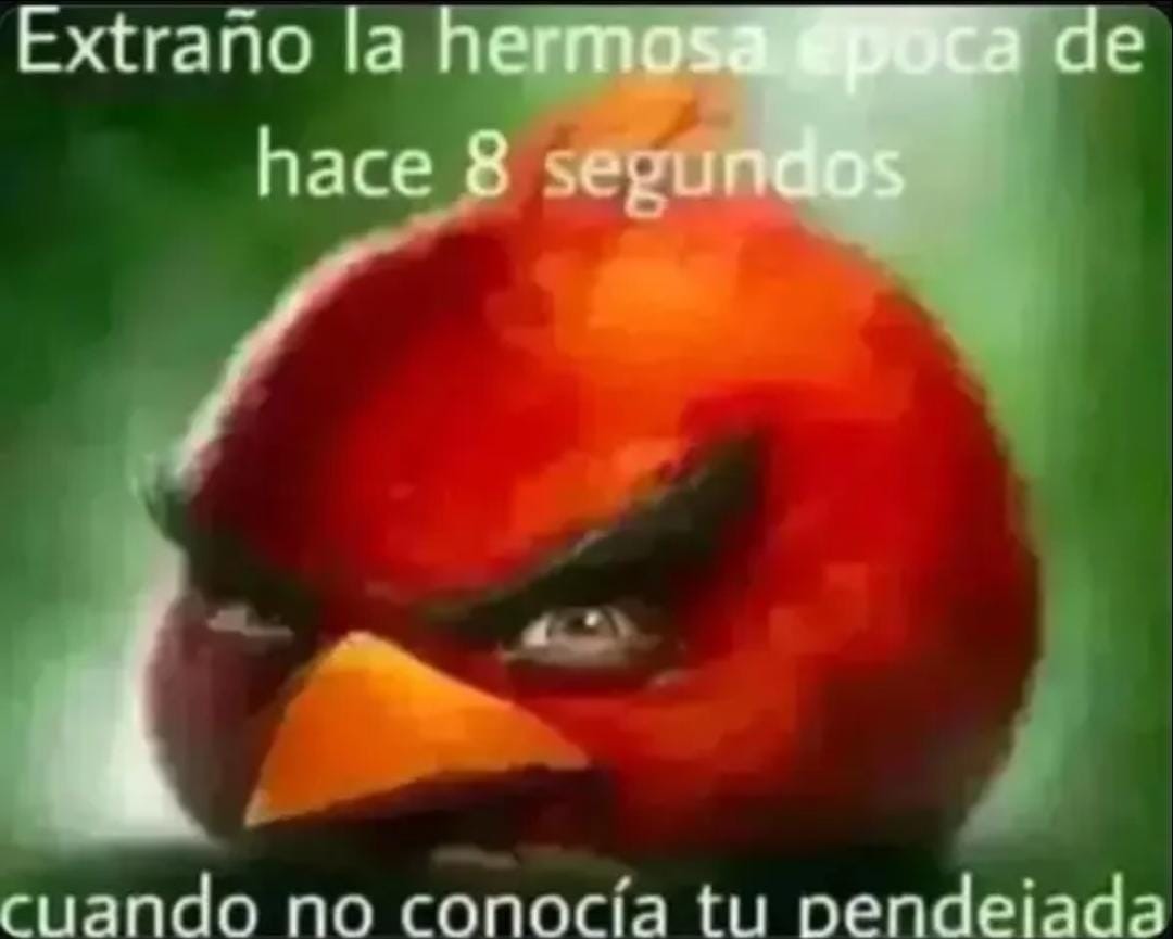 Subir - meme