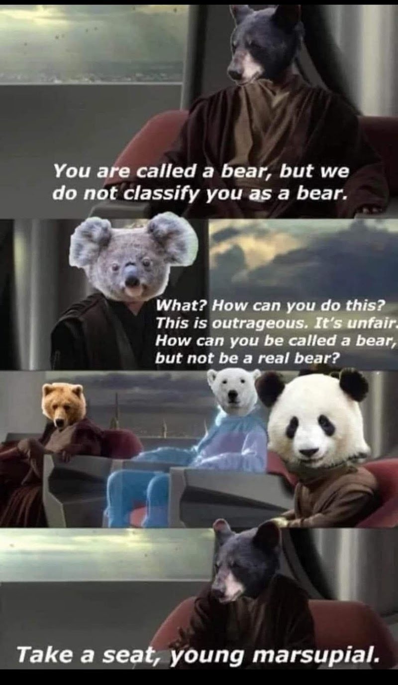 ﻿You are called a bear, but we do not classify you as a bear: What? How can you do this? This is outrageous; It”s unfair How can you be called a bear; but not be a real bear? Take a seat, young marsupial.