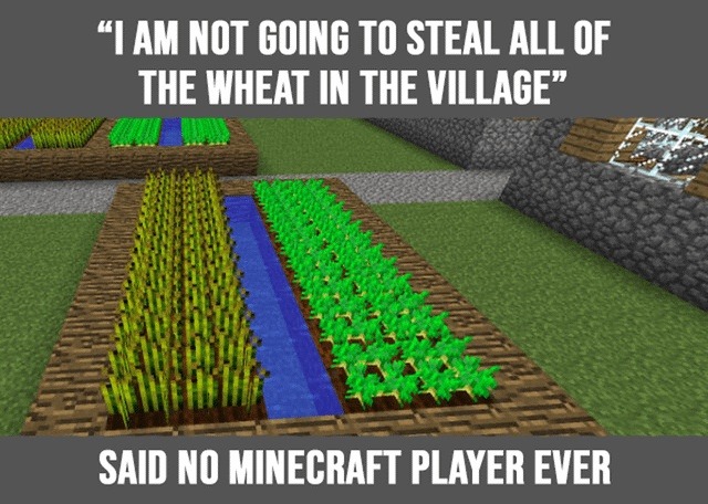 no minecraft player has ever left the wheat alone - meme